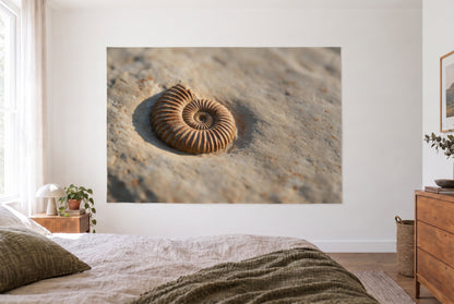 Wandtuch Ammonit-Fossil im Gestein im hellen Schlafzimmer gegenüber dem Bett, rechts eine Holzkommode – Beige und Braun