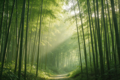 Quiet path through a tall bamboo forest with slanting golden morning rays, tapestry printed on fabric – green and gold