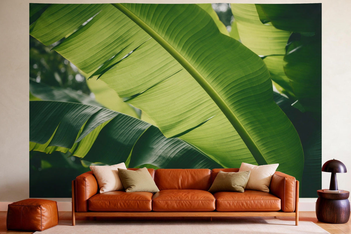 Wandtuch XXL Tropische Bananenblätter als Wanddeko im gemütlichen Wohnzimmer über dem Ledersofa