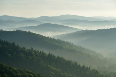 Bewaldete Hügelketten in Dunstschichten, dichter Wald im Vordergrund, als Wandtuch, auf Stoff gedruckt – Salbeigrün