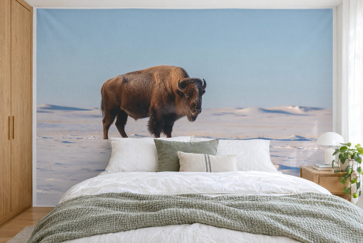 Tela impresa XXL: bisonte un poco a la izquierda del centro en una pradera nevada, pared entera tras la cama