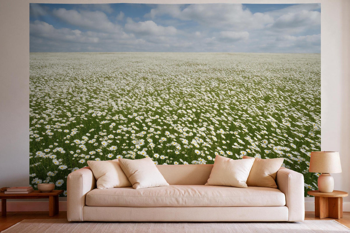 Tenture murale XXL Champ de fleurs avec marguerites sous cumulus en déco murale dans un salon lumineux au-dessus du canapé