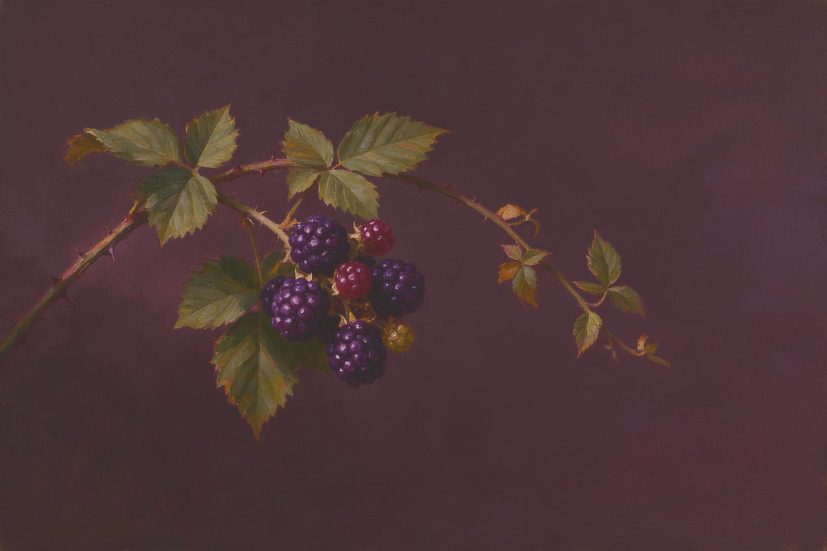 Branch with ripe blackberries and red berries on dark plum ground, tapestry printed on fabric – violet and green