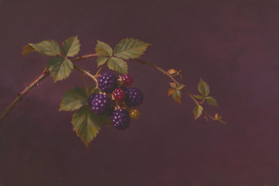 Branch with ripe blackberries and red berries on dark plum ground, tapestry printed on fabric – violet and green