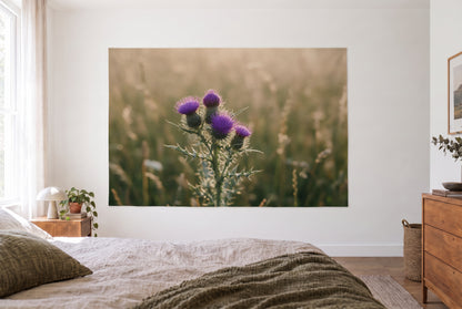 Wandtuch Distelblüten in Violett im hellen Schlafzimmer gegenüber dem Bett, rechts eine Holzkommode – Violett, Grün und Gold