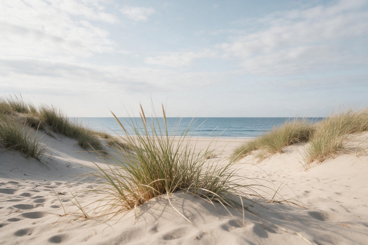 Plage herbe des dunes devant mer calme et ciel nuageux, tenture murale imprimée sur tissu – beige et bleu