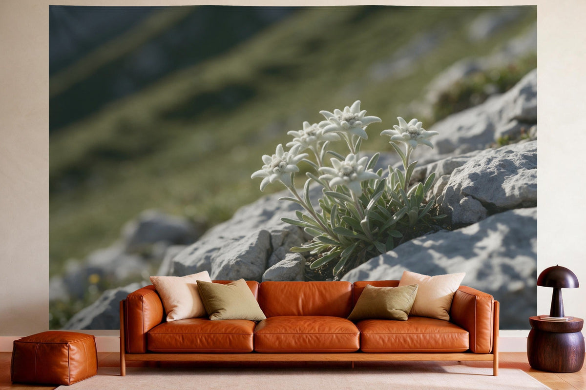 Tenture murale XXL Edelweiss entre les rochers en déco murale dans un salon chaleureux au-dessus du canapé en cuir