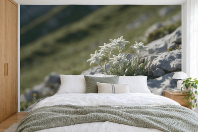 Tissu imprimé XXL : cinq fleurs d'edelweiss à droite du centre devant un versant alpin vert, mur entier derrière le lit