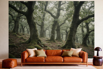 Wandtuch XXL Eichenwald mit moosigen Stämmen als Wanddeko im gemütlichen Wohnzimmer über dem Ledersofa
