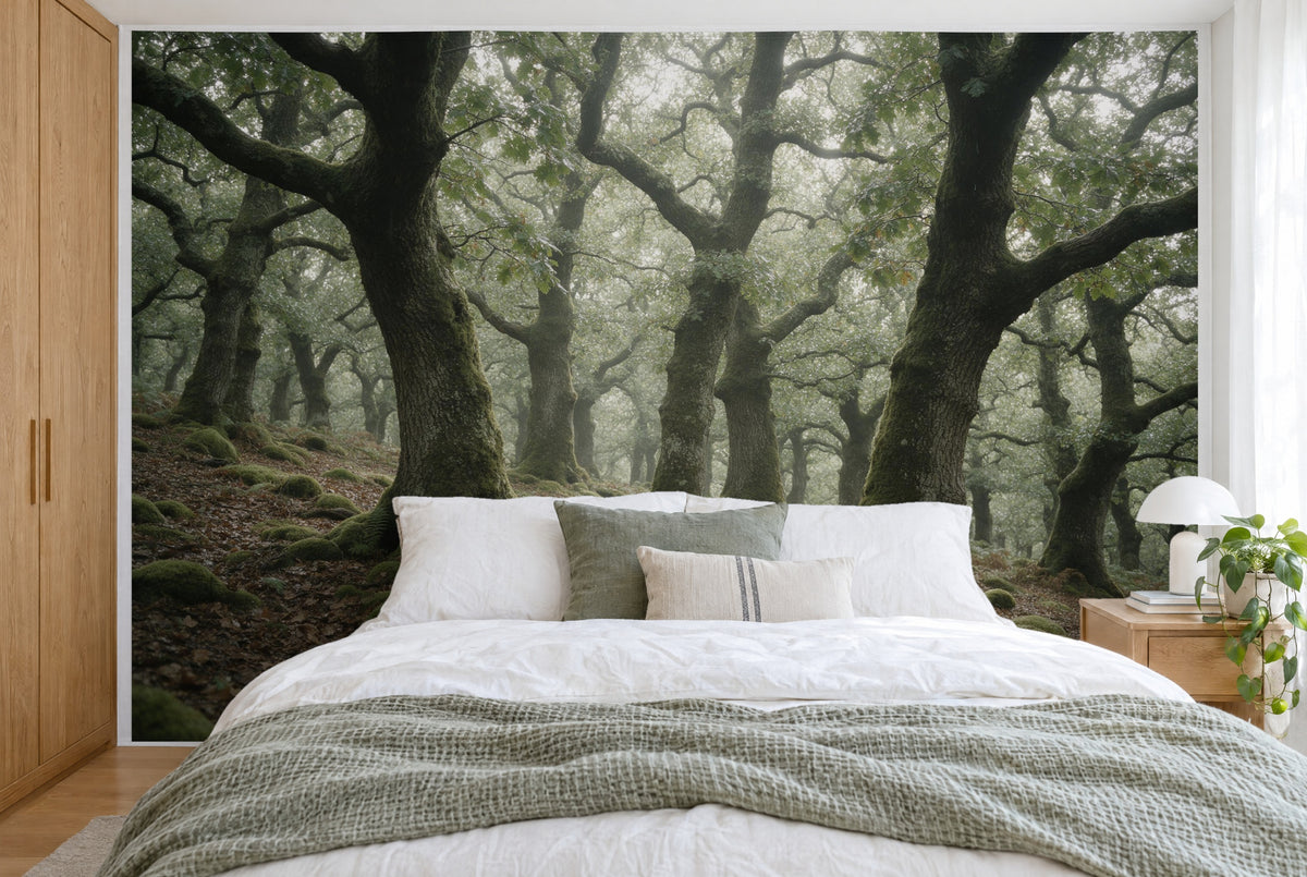 Grosses Wandtuch Eichenwald mit moosigen Stämmen im Schlafzimmer wandfüllend hinter dem Bett – Wandbehang aus Stoff
