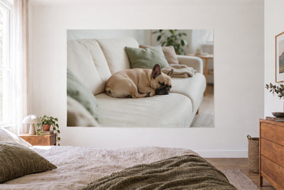 French Bulldog on the Sofa tapestry in a bright bedroom opposite the bed, wooden dresser at right – cream