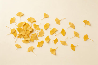 Goldgelbe Ginkgoblätter locker verstreut, gehäuft im linken Drittel auf Creme, als Wandtuch, auf Stoff gedruckt – Gelb