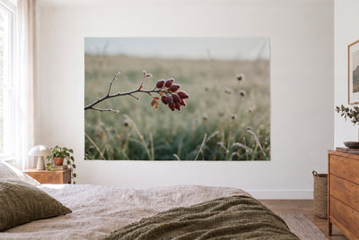 Wandtuch Hagebutten im Raureif im hellen Schlafzimmer gegenüber dem Bett, rechts eine Holzkommode – Rot, Weiss und Grün