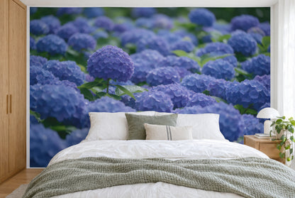 Tela impresa XXL: bola de hortensia nítida arriba a la izquierda, flores suaves detrás, toda la pared tras la cama