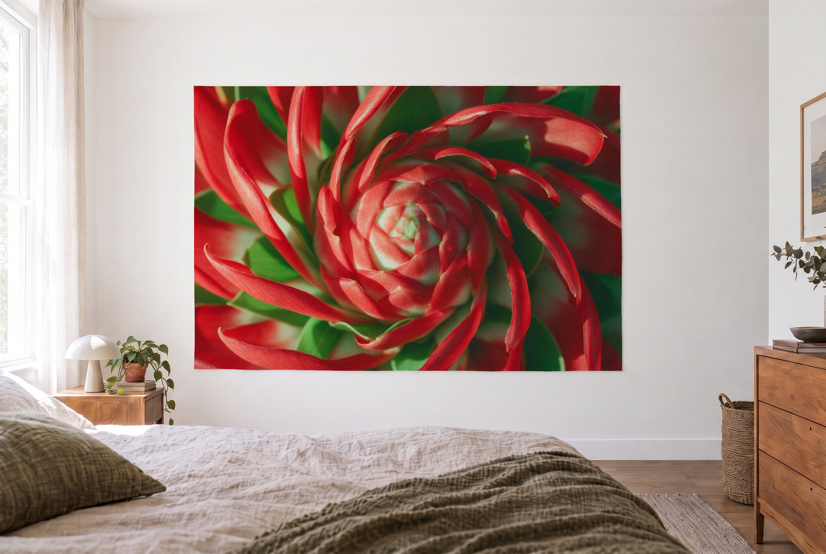 Tenture murale fleur de gingembre rouge dans la chambre claire face au lit, commode en bois à droite – rouge vert