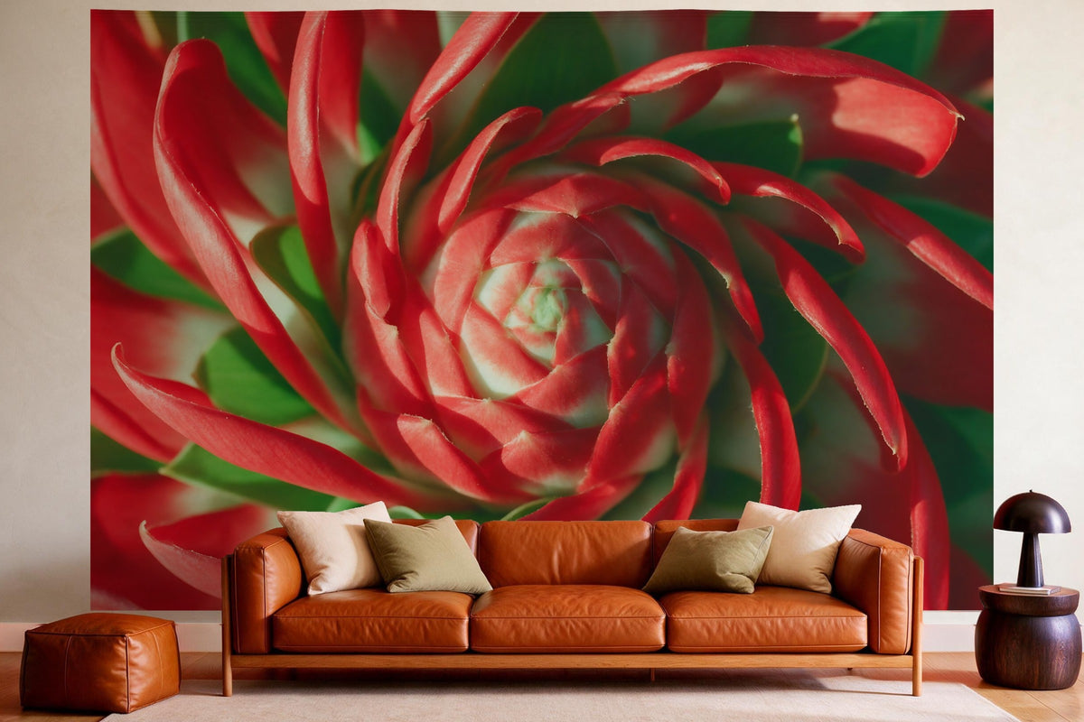 Tapiz de pared XXL Flor de jengibre roja en primer plano como decoración en un salón acogedor sobre el sofá de cuero