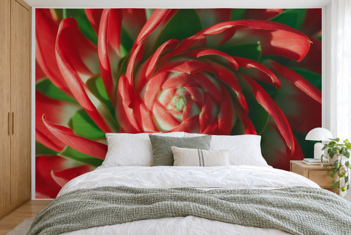 Tissu imprimé XXL : fleur de gingembre rouge en rosette au centre, bractées en spirale, mur entier derrière le lit