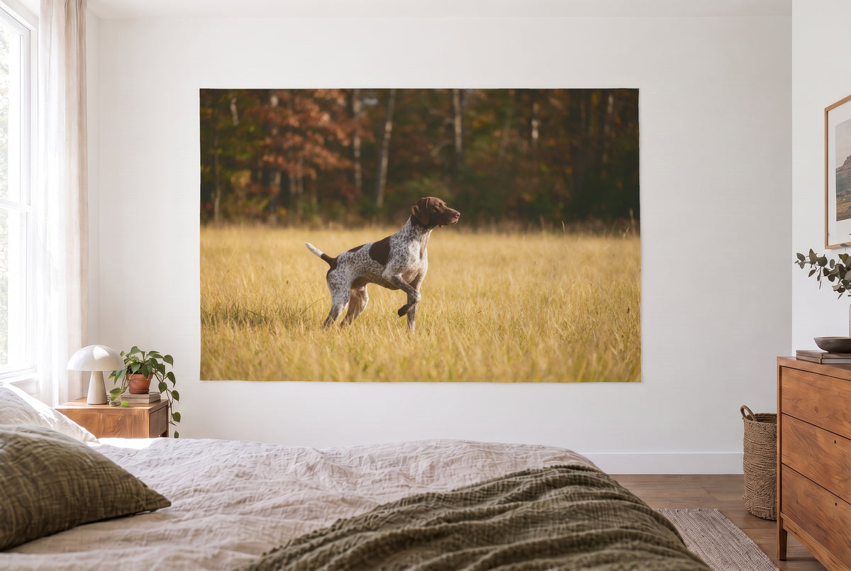 Hunting Dog tapestry in a bright bedroom opposite the bed, a wooden dresser on the right – yellow, brown and green