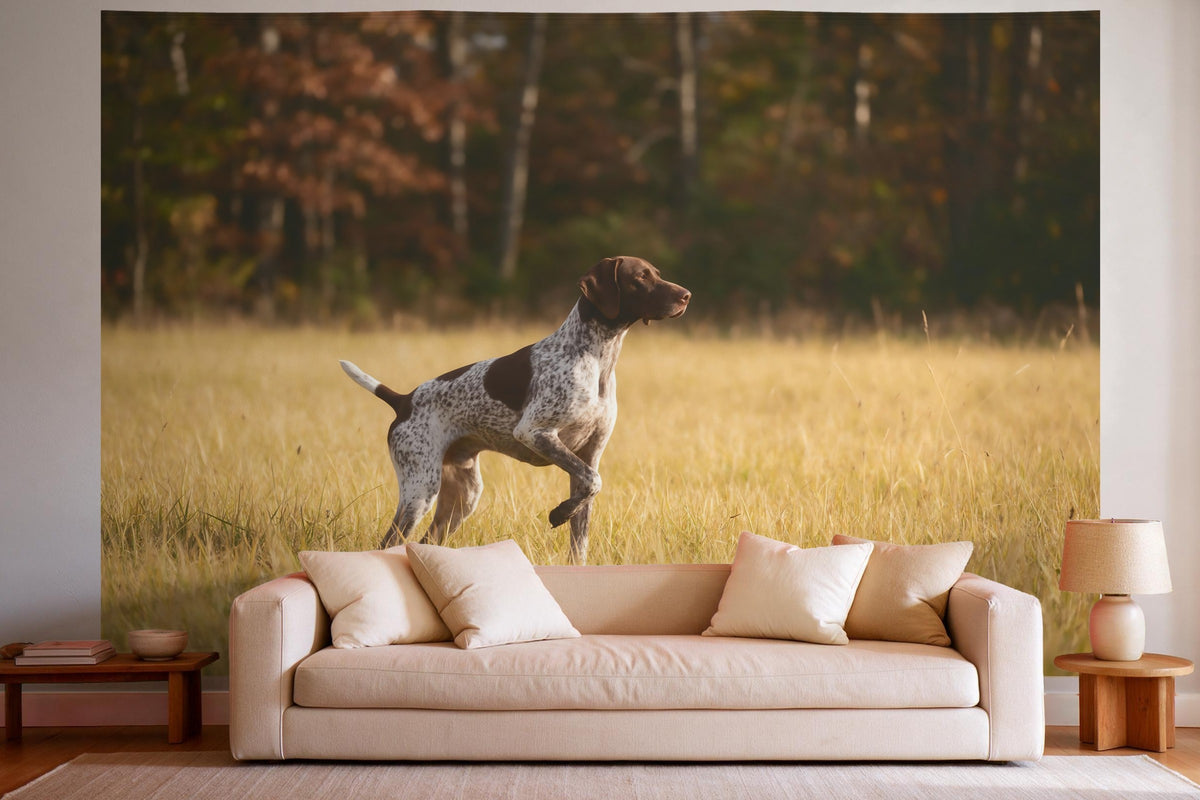 Wandtuch XXL Jagdhund im Herbstgras als Wanddeko im hellen Wohnzimmer über dem Sofa