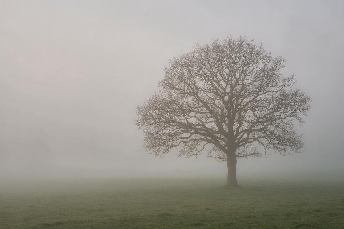 Roble desnudo como árbol solitario a la derecha en niebla gris sobre prado verde musgo, tapiz impreso en tela – gris y verde