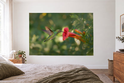 Tenture colibri devant la fleur, chambre claire face au lit, commode en bois à droite – vert et corail