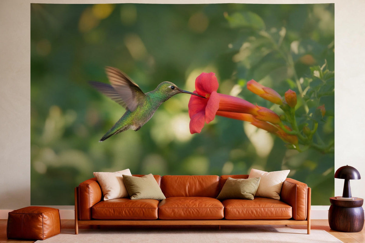 Wandtuch XXL Kolibri an der Blüte als Wanddeko im gemütlichen Wohnzimmer über dem Ledersofa