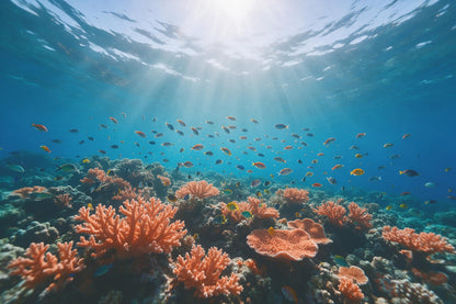 Monde sous-marin avec récif et bancs de poissons sous lumière, tenture murale imprimée sur tissu – bleu et orange