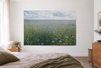 Wandtuch Kornblumenfeld unter Wolkenhimmel im hellen Schlafzimmer gegenüber dem Bett, rechts eine Holzkommode – Blau und Grün