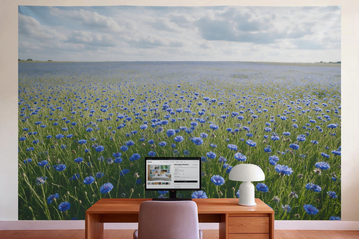 Déco murale dans le bureau derrière la table de travail : tenture murale Champ de centaurées sous un ciel nuageux, imprimée sur tissu