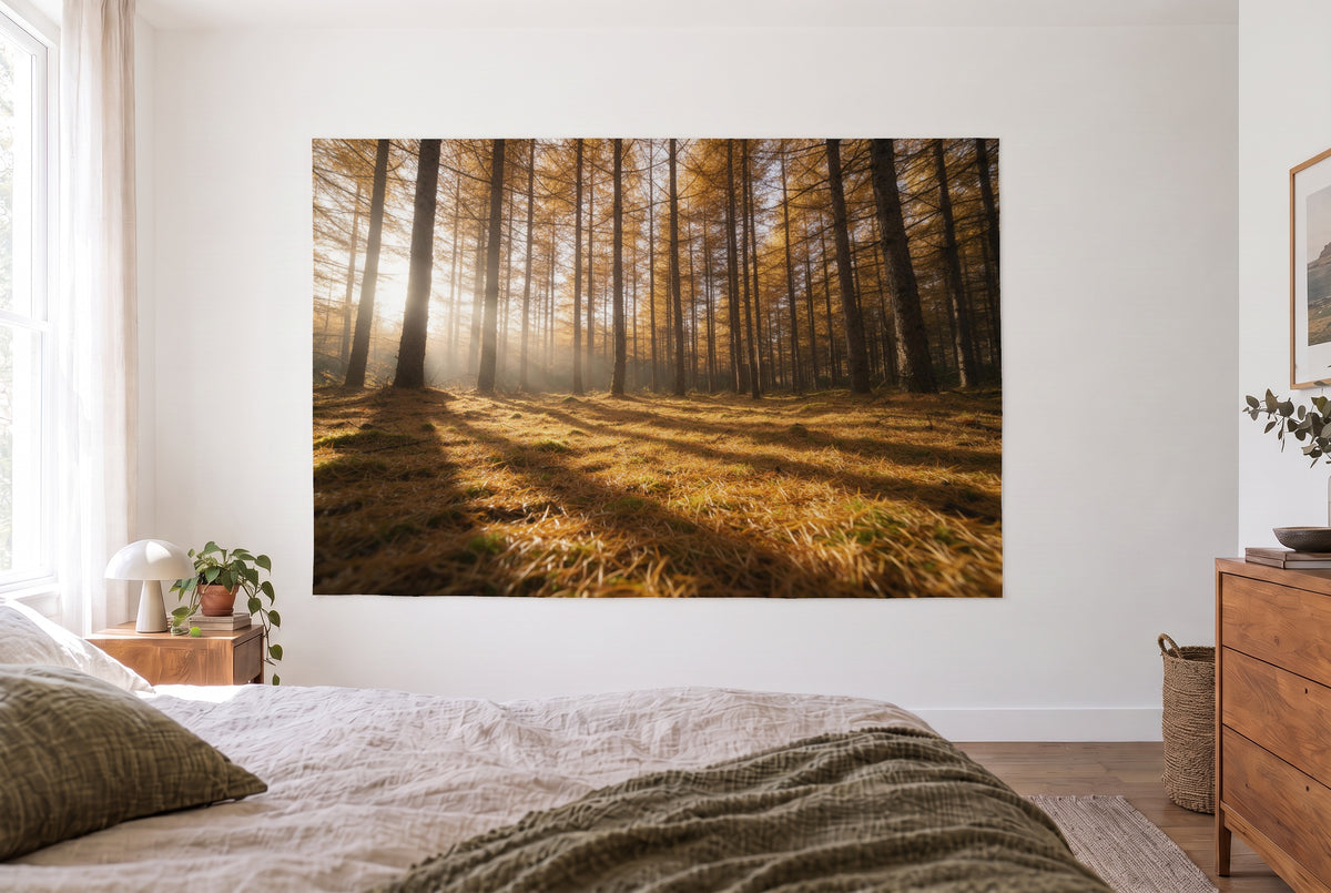 Wandtuch Lärchenwald mit goldenem Nadelteppich im hellen Schlafzimmer gegenüber dem Bett, rechts eine Holzkommode – Gold