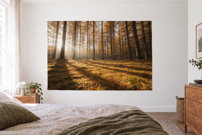 Wandtuch Lärchenwald mit goldenem Nadelteppich im hellen Schlafzimmer gegenüber dem Bett, rechts eine Holzkommode – Gold