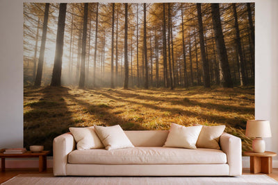 Wandtuch XXL Lärchenwald mit goldenem Nadelteppich als Wanddeko im hellen Wohnzimmer über dem Sofa