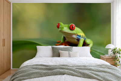 XXL printed fabric: green tree frog right of center on a broad leaf, full wall behind the bed