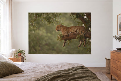 Leopard on the branch tapestry in the bright bedroom opposite the bed, wooden dresser at right – gold, brown and green