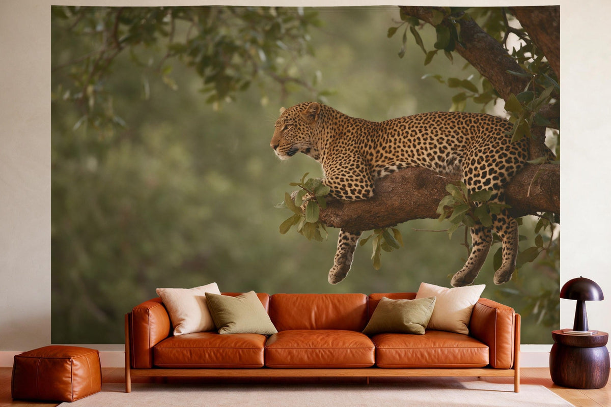 Tapiz de pared XXL Leopardo en la rama como decoración en un salón acogedor sobre el sofá de cuero