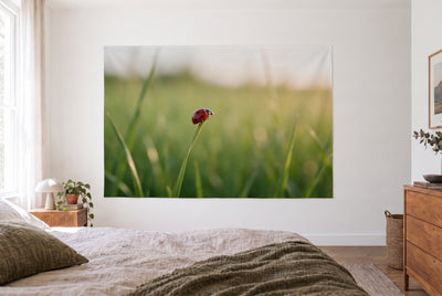 Ladybird on a blade of grass tapestry in a bright bedroom opposite the bed, wooden dresser on the right – red and green
