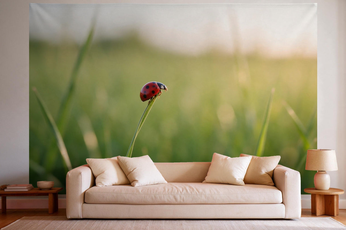 Wandtuch XXL Marienkäfer auf dem Grashalm als Wanddeko im hellen Wohnzimmer über dem Sofa