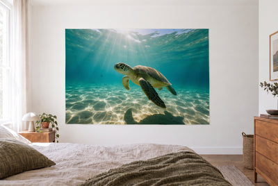 Sea turtle in sunlight tapestry in a bright bedroom opposite the bed, wooden dresser at right – turquoise