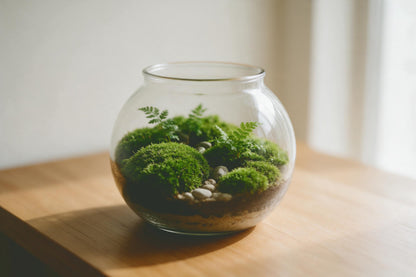 Moss terrarium with ferns and light pebbles in a round-bellied glass on a wooden table, tapestry printed on fabric – green
