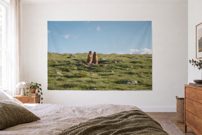 Marmots by their burrow tapestry in a bright bedroom opposite the bed, wooden dresser on the right – green and blue