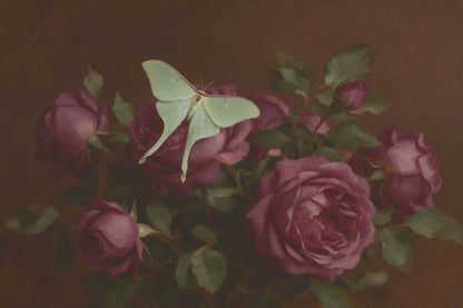 Moth with long tail-like wings on plum-colored roses, as a tapestry printed on fabric – green and plum