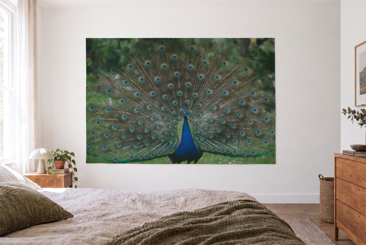 Wandtuch Pfau mit offenem Rad im hellen Schlafzimmer gegenüber dem Bett, rechts eine Holzkommode – Blau und Grün