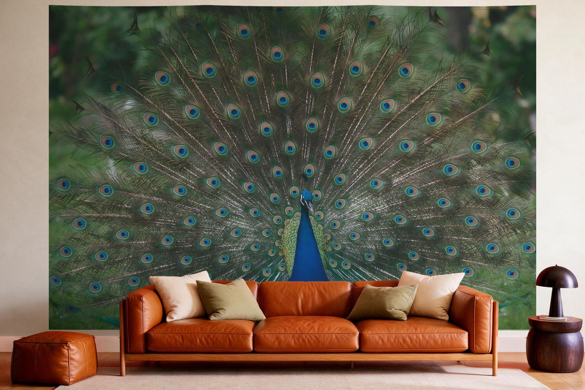 Wandtuch XXL Pfau mit offenem Rad als Wanddeko im gemütlichen Wohnzimmer über dem Ledersofa
