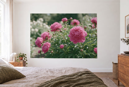 Wandtuch Pfingstrosen in voller Blüte im hellen Schlafzimmer gegenüber dem Bett, rechts eine Holzkommode – Rosa und Grün