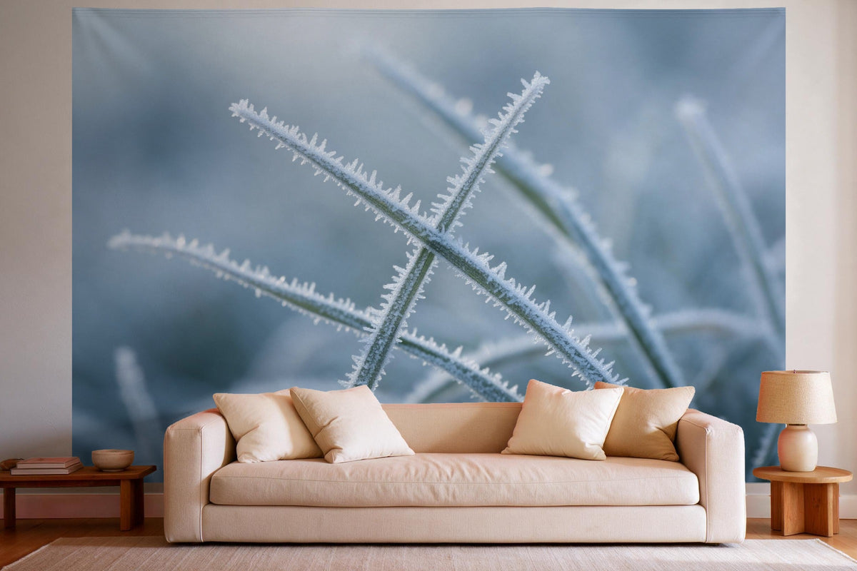 Wandtuch XXL Raureif auf Gräsern im Winter als Wanddeko im hellen Wohnzimmer über dem Sofa