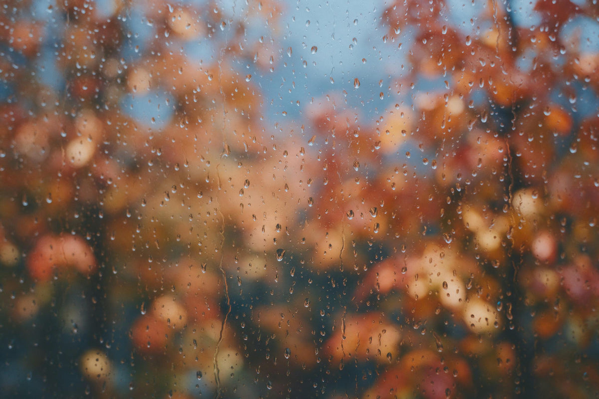 Regentropfen und Rinnsale auf einer Fensterscheibe vor Herbstlaub, als Wandtuch, auf Stoff gedruckt – Orange und Blau