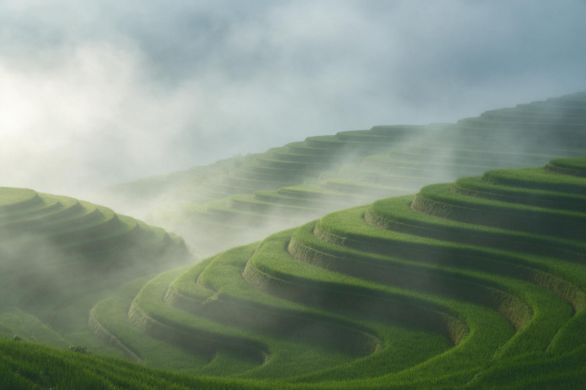 Terrazas de arroz en laderas verdes empinadas en la niebla matinal bajo un cielo amplio, tapiz impreso en tela – verde y gris