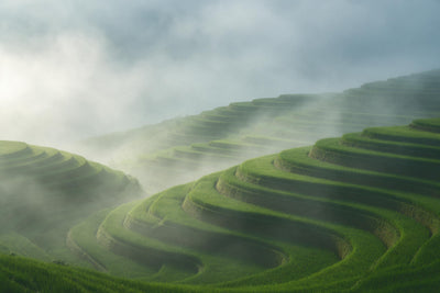 Terrazas de arroz en laderas verdes empinadas en la niebla matinal bajo un cielo amplio, tapiz impreso en tela – verde y gris