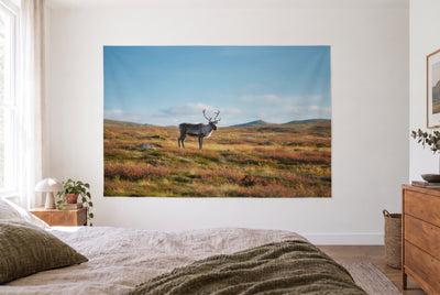 Wandtuch Rentier in der Tundra im hellen Schlafzimmer gegenüber dem Bett, rechts eine Holzkommode – Orange, Grün und Blau
