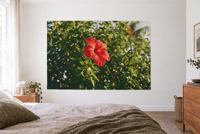 Tapiz flor de hibisco roja en un dormitorio claro frente a la cama, cómoda de madera a la derecha – rojo, verde y amarillo
